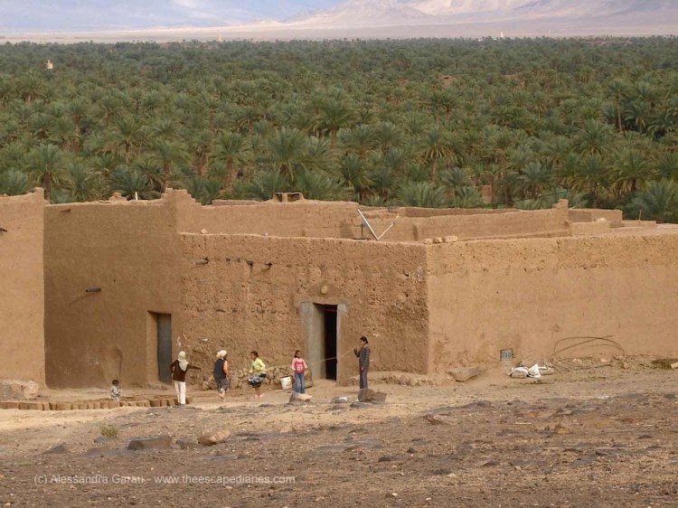 oasi lungo la Valle del Draa