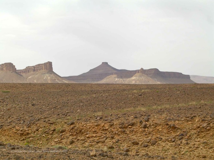 T_E_Diaries_Marocco75