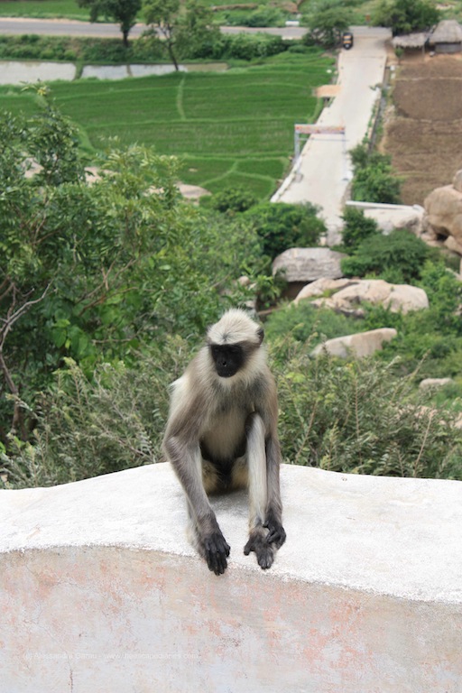 T_E_Diaries_SouthIndia35