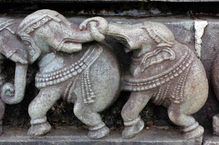 T_E_Diaries_SouthIndia58