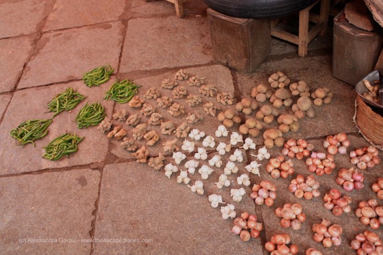 T_E_Diaries_SouthIndia66