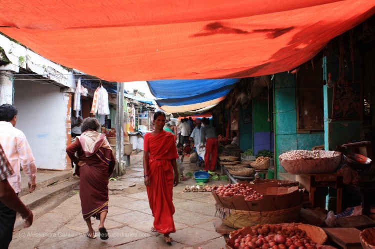 T_E_Diaries_SouthIndia67