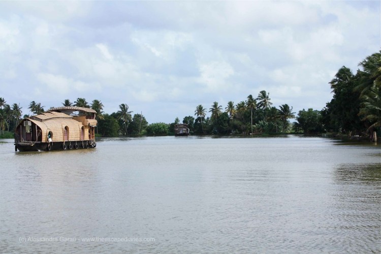 T_E_Diaries_SouthIndia116