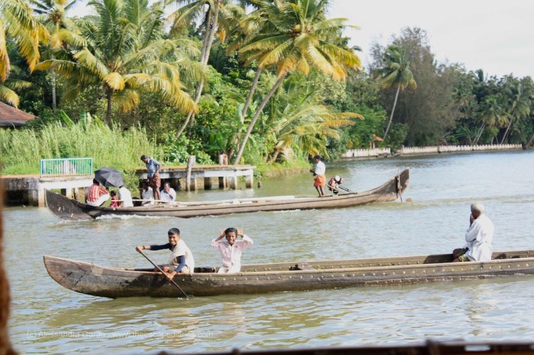 T_E_Diaries_SouthIndia119