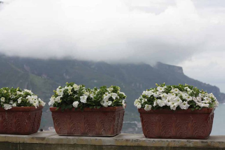 T_E_Diaries_Costiera40