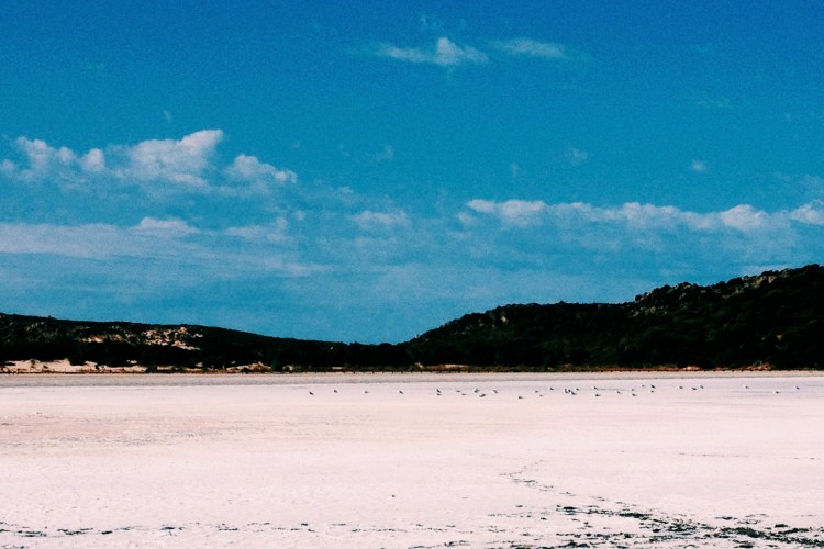 Processed with VSCOcam with c1 preset