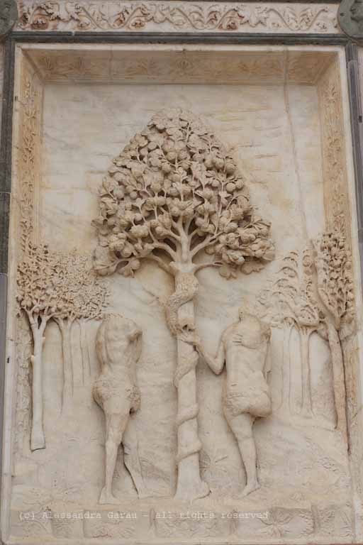 Pavia_Certosa_TEDiaries08