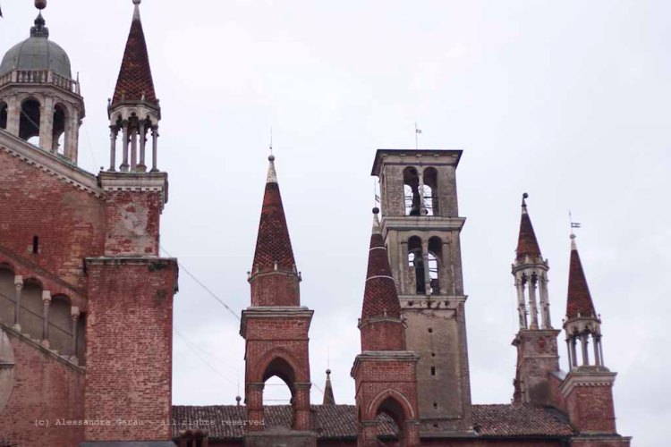 Pavia_Certosa_TEDiaries20