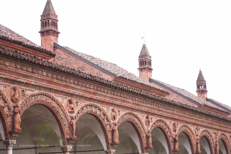 Pavia_Certosa_TEDiaries21