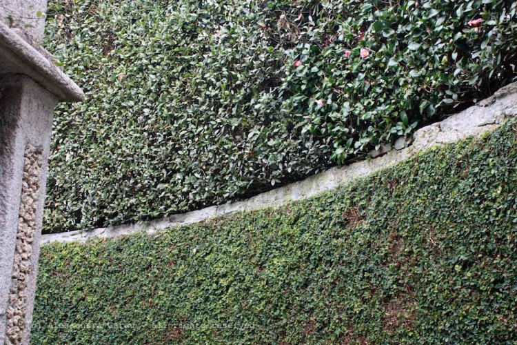 The_Escape_Diaries_Stresa02