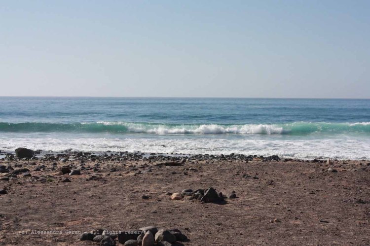 The_Escape_Diaries_canarie03