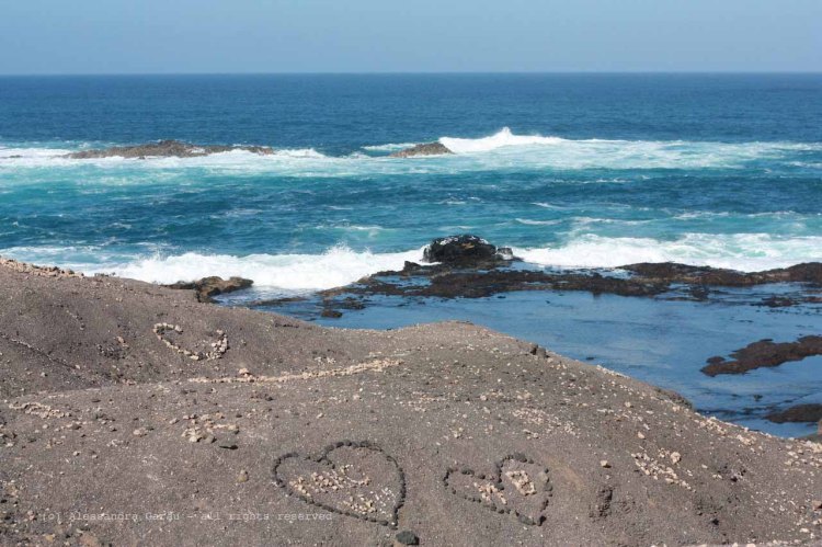 The_Escape_Diaries_canarie08