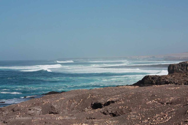 The_Escape_Diaries_canarie09