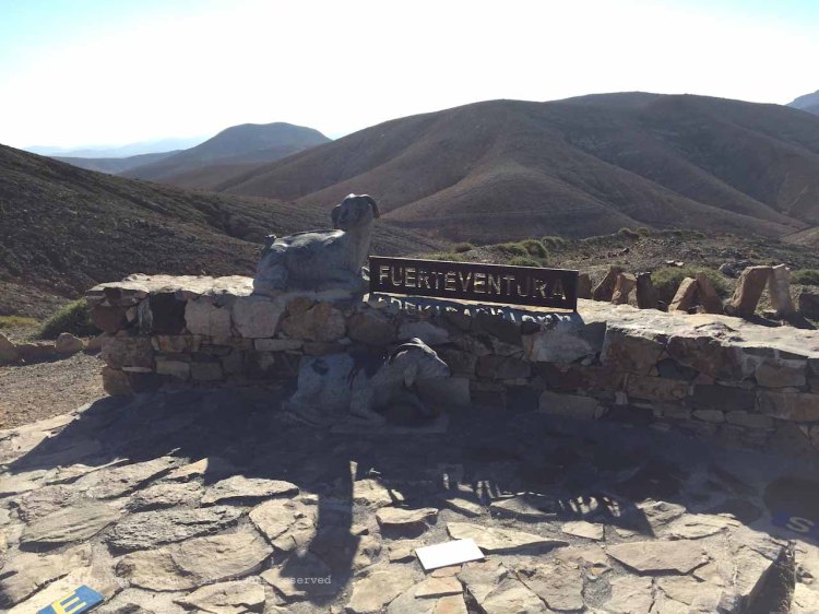 The_Escape_Diaries_canarie112