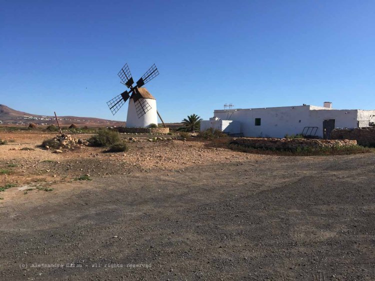 The_Escape_Diaries_canarie123