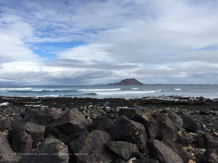 The_Escape_Diaries_canarie133