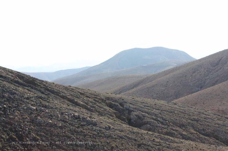 The_Escape_Diaries_canarie14