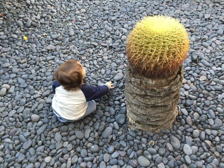 The_Escape_Diaries_canarie140