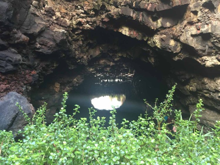 The_Escape_Diaries_canarie143