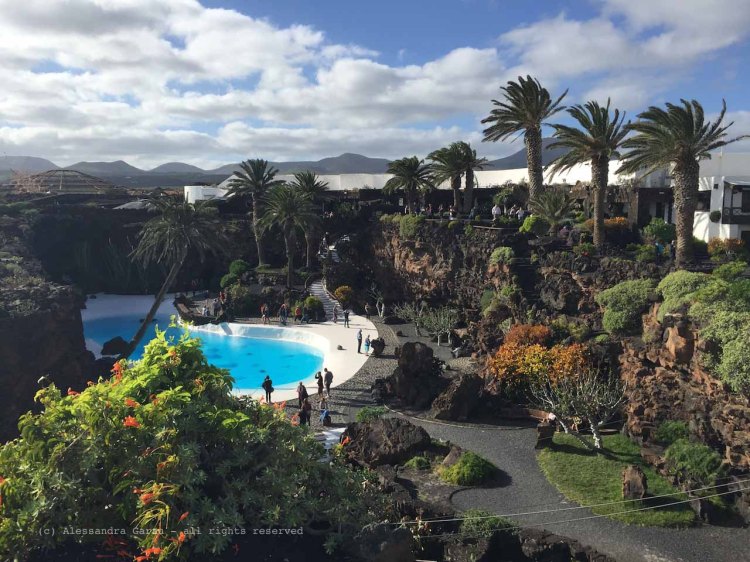 The_Escape_Diaries_canarie153