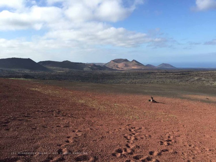 The_Escape_Diaries_canarie172