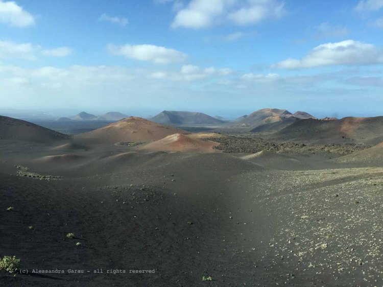 The_Escape_Diaries_canarie173