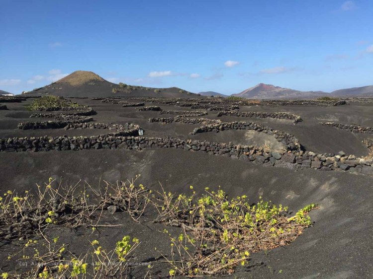 The_Escape_Diaries_canarie179