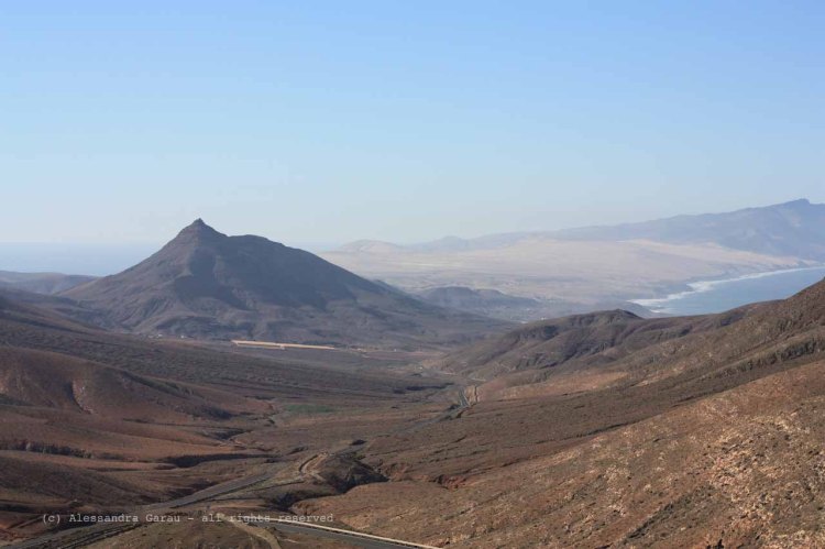 The_Escape_Diaries_canarie19