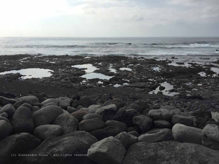 The_Escape_Diaries_canarie193