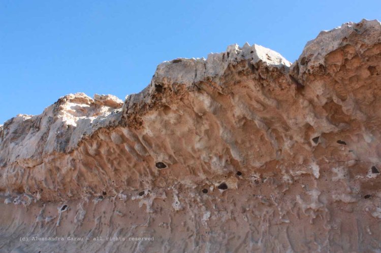 The_Escape_Diaries_canarie49