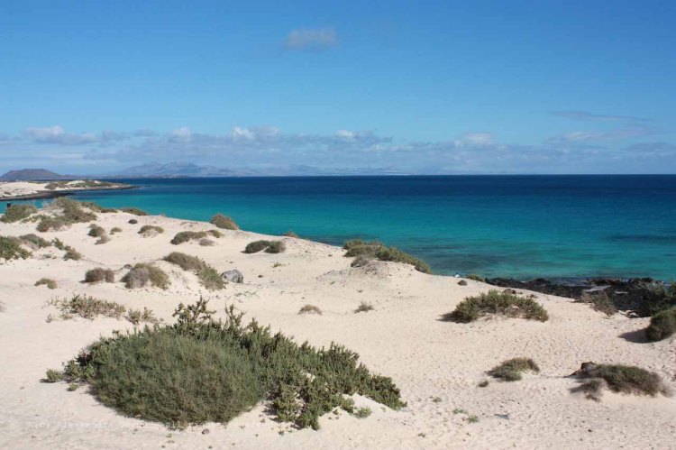 The_Escape_Diaries_canarie50