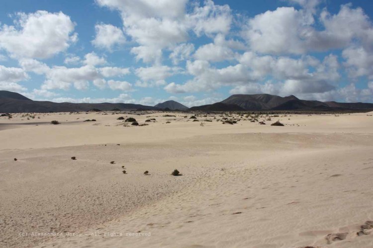 The_Escape_Diaries_canarie51