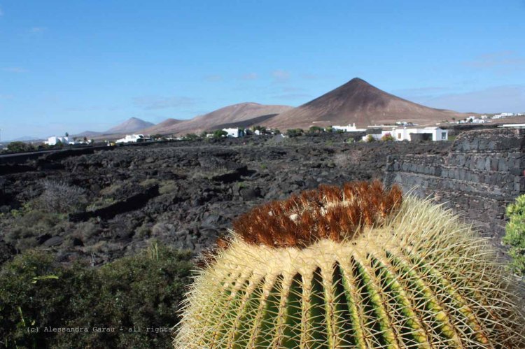 The_Escape_Diaries_canarie59