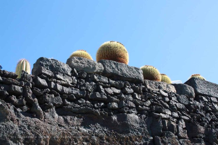 The_Escape_Diaries_canarie68