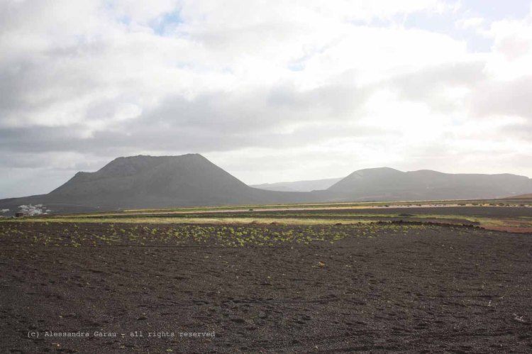 The_Escape_Diaries_canarie85