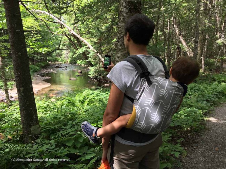 canadamaine_theescapediaries-com10