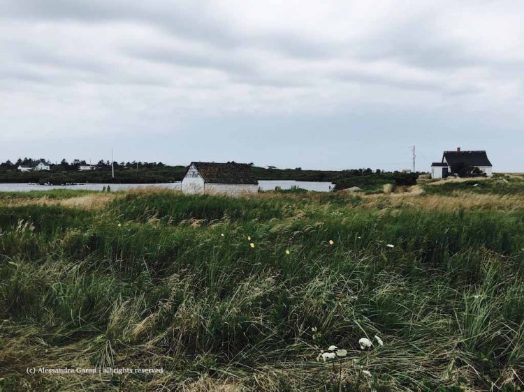 canadamaine_theescapediaries-com113