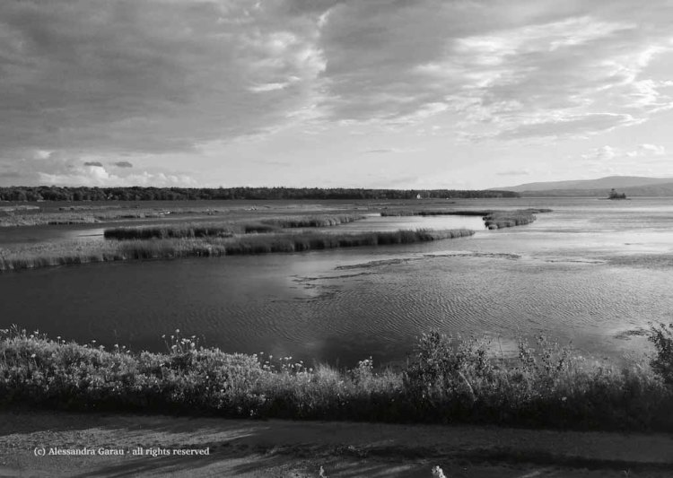 canadamaine_theescapediaries-com147