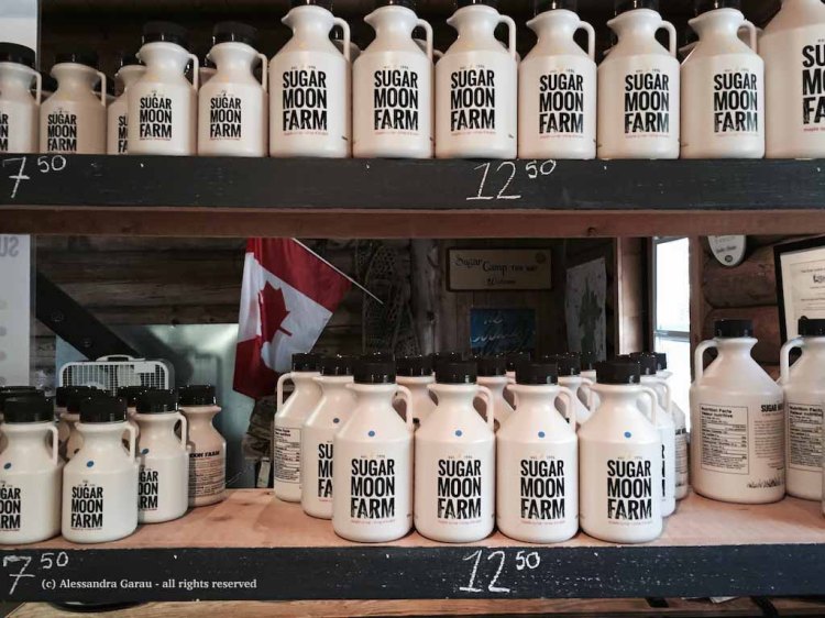 canadamaine_theescapediaries-com170