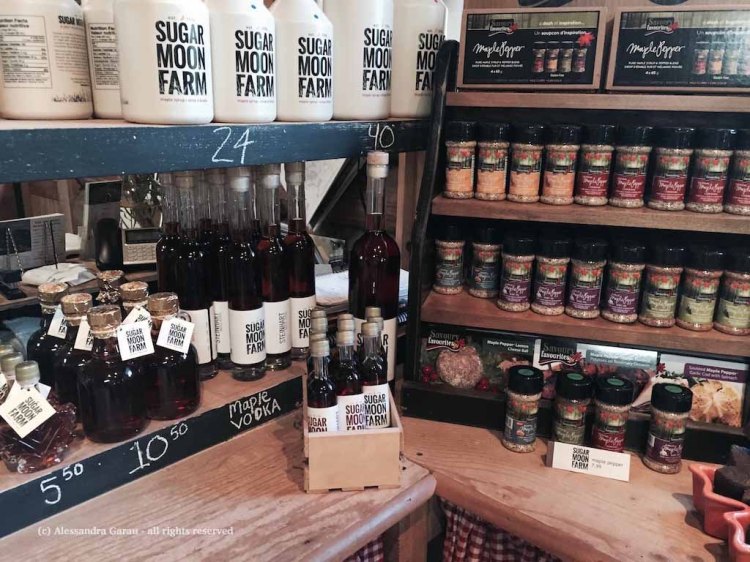 canadamaine_theescapediaries-com171