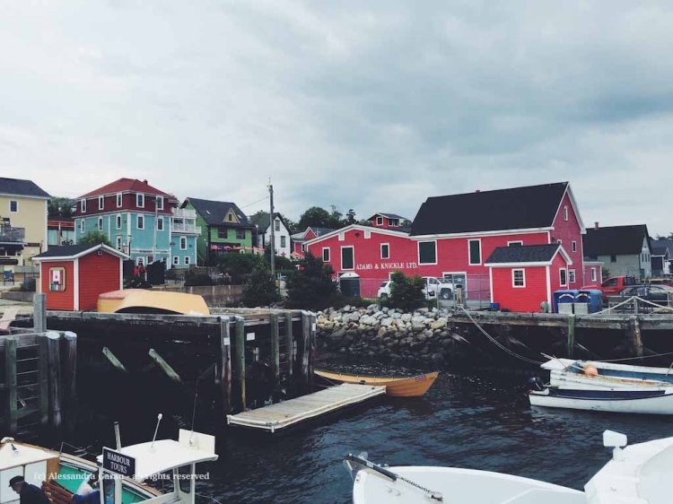 Processed with VSCO with f2 preset