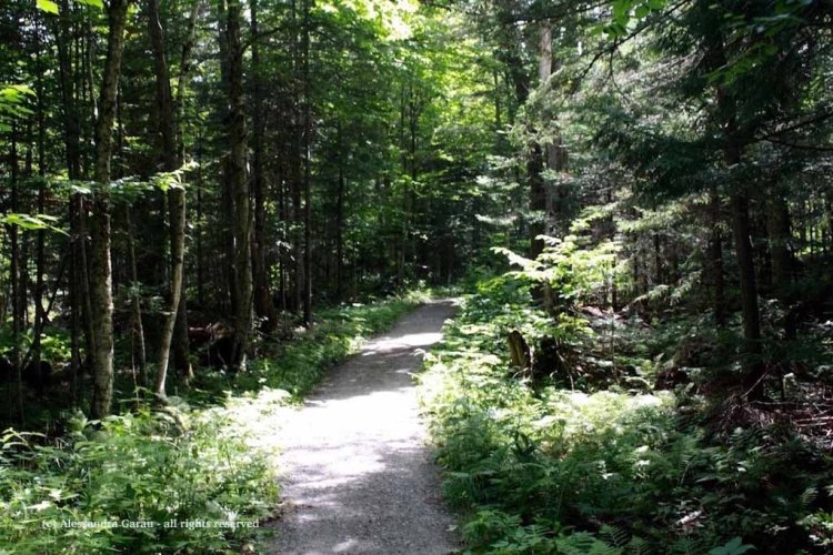 canadamaine_theescapediaries-com253