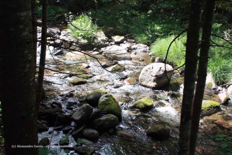 canadamaine_theescapediaries-com254