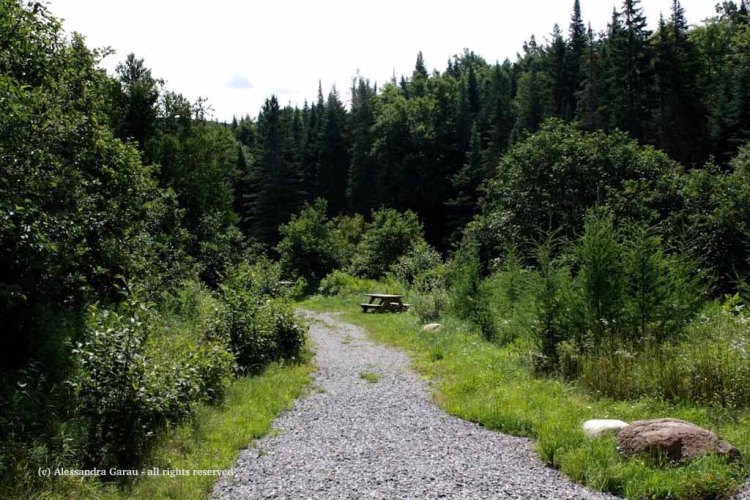 canadamaine_theescapediaries-com256