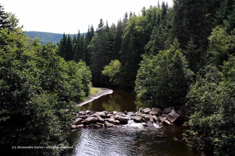 canadamaine_theescapediaries-com257