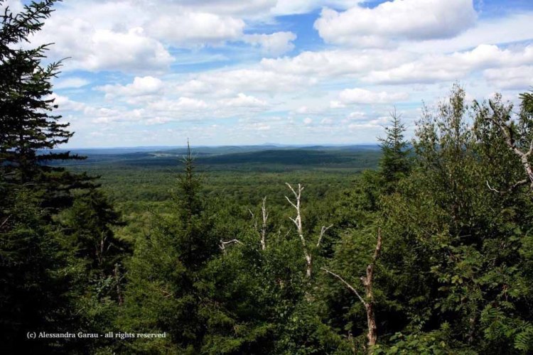 canadamaine_theescapediaries-com259