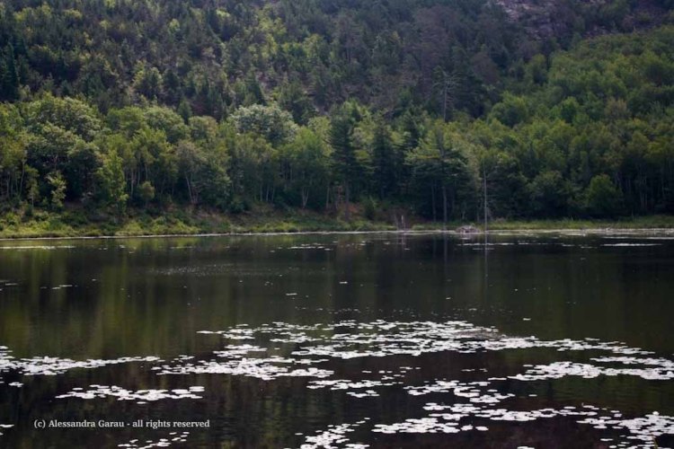 canadamaine_theescapediaries-com268