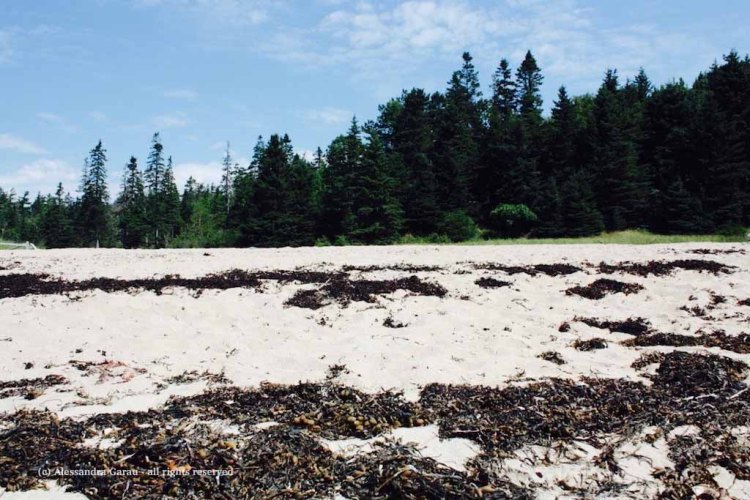 canadamaine_theescapediaries-com274