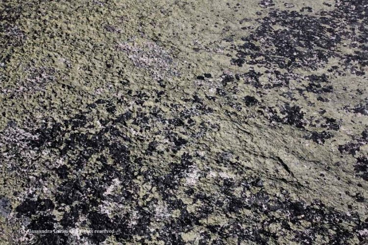 canadamaine_theescapediaries-com281