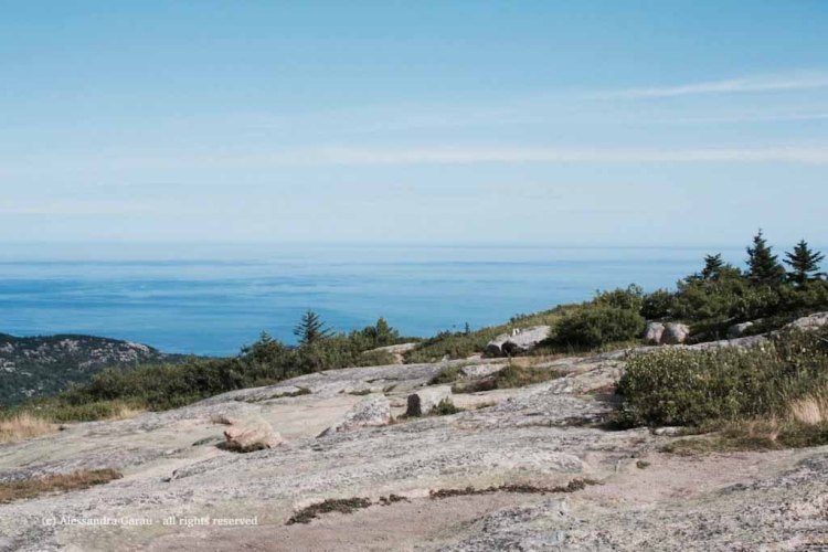 canadamaine_theescapediaries-com284